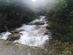 -黑河国家森林公园