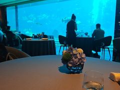 -OSSIANO奥西亚诺海底餐厅