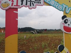 -空港花田景区