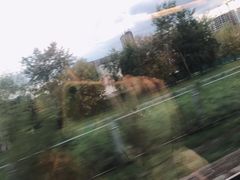 -滴血救世主教堂