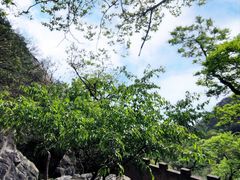 -北京鹫峰国家森林公园