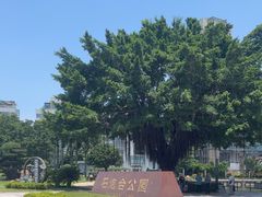 -石炮台公园