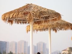 -九龙湖公园