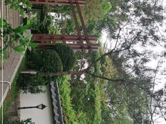 -深圳国际园林花卉博览园