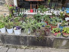 -唐师傅湘西名菜馆(武陵路店)