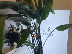 -春田皮肤管理中心品牌旗舰店