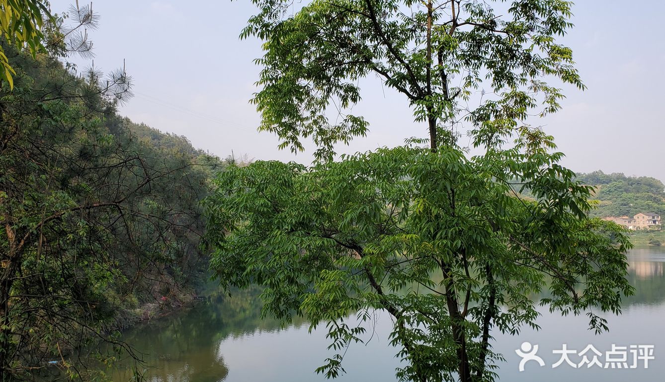 杨家沟水库