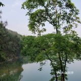 杨家沟水库