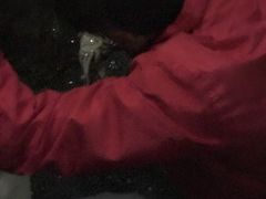 -珍宝蟹舫·巴城味道(巴城总店)