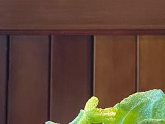 -一叶一世界·素食餐厅(锦华万达店)