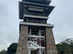 -大湾区中央湿地公园