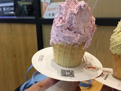 -野人先生现做冰淇淋(北京环宇荟店)