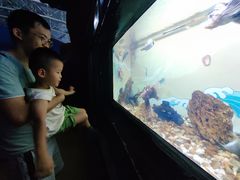 -烟台海昌鲸鲨海洋公园