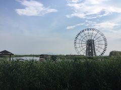 -太湖湖滨国家湿地公园-停车场
