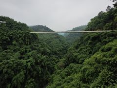 -川西竹海景区