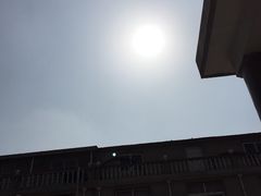 -临沂动植物园