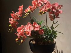 -金链花·泰国餐厅(国贸店)