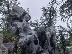 -仰天湖大草原