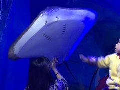 -重庆欢乐海底世界