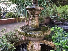 -more than meow吴止猫主题餐厅(承德 中船汇店)