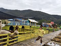 -宁波九龙湖开元度假村