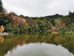 -云溪植物园