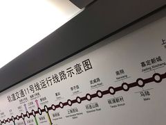 -桃浦新村(地铁站)