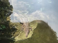 -重庆动物园·东二门售票处