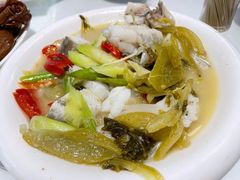 酸菜九肚鱼-日日香卤鹅饭店·澄海狮头鹅(澄海店)
