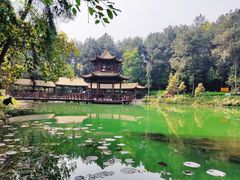 -铁山坪森林公园