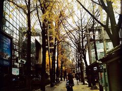 -东大门市场