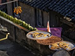 -阳产土楼