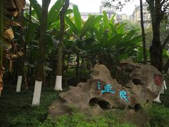 -重庆彩云湖湿地公园