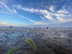 -南汇嘴观海公园