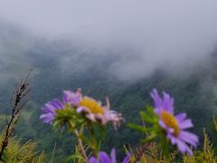 -白草畔自然风景区