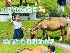 -金豆子幼稚园