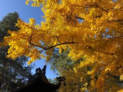 -红螺寺