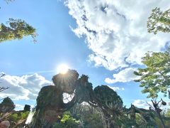 -奥兰多迪士尼动物王国乐园