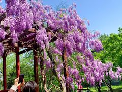 -南通博物苑-崇川人民公园