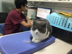 -西安京西宠物医院·瘫痪·疑难杂症