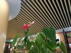 大堂-小苏舍餐厅(木渎店)