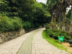 -青龙山公园
