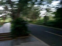 -大屏嶂森林公园