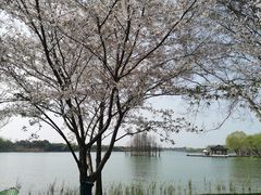 -虞山风景区
