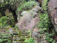 -青芝山风景名胜区