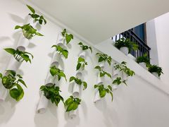 -MUE·沐懿(新浙北悠漫街店)