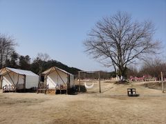 -黄陂区野村谷景区