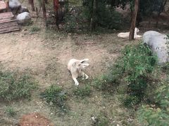 -泉州海丝野生动物世界