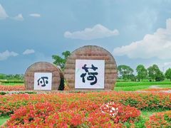 -嘉北郊野公园