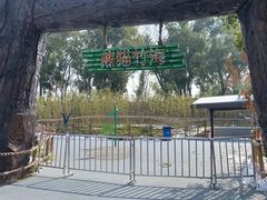 -武汉动物园